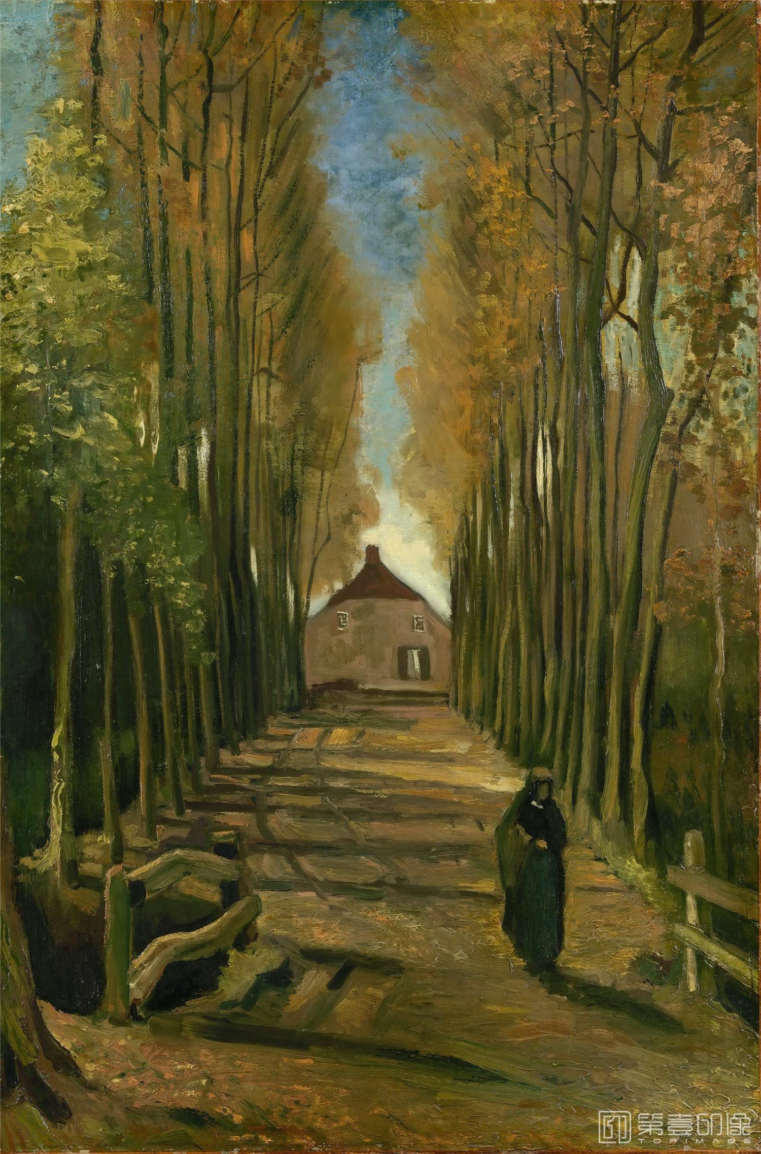 油画-文森特·威廉·梵高 Vincent Willem van Gogh-Avenue of Poplars in Autumn-028